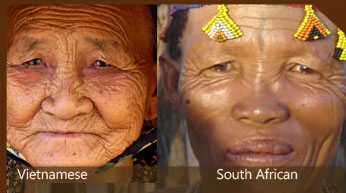 Chinese and South African features compared
