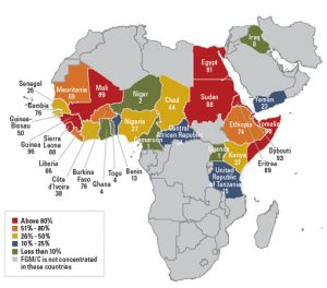 FGM Map In Africa