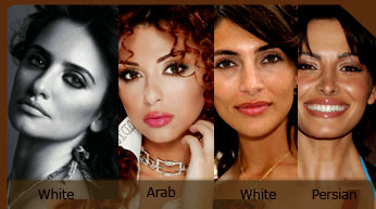 White, Arab, Persian, same "race" difference only political
