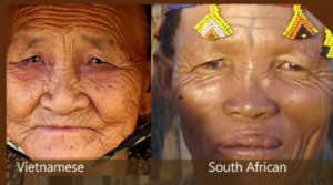 south-african-and-chinese-compare-features