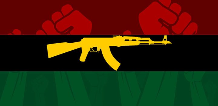 The Art of Revolution: A Critical Review of African Liberation